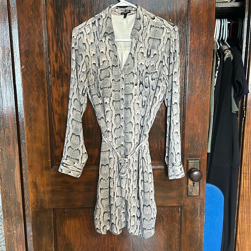 Express Portofino Shirt Dress